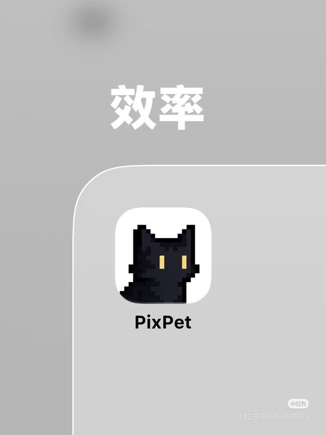 文科生开发四个月成功上架第一款App